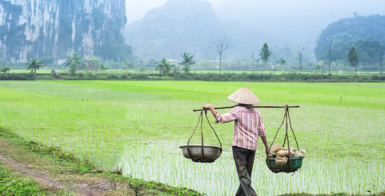 Vietnam Package