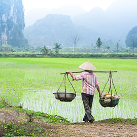 Vietnamthumb